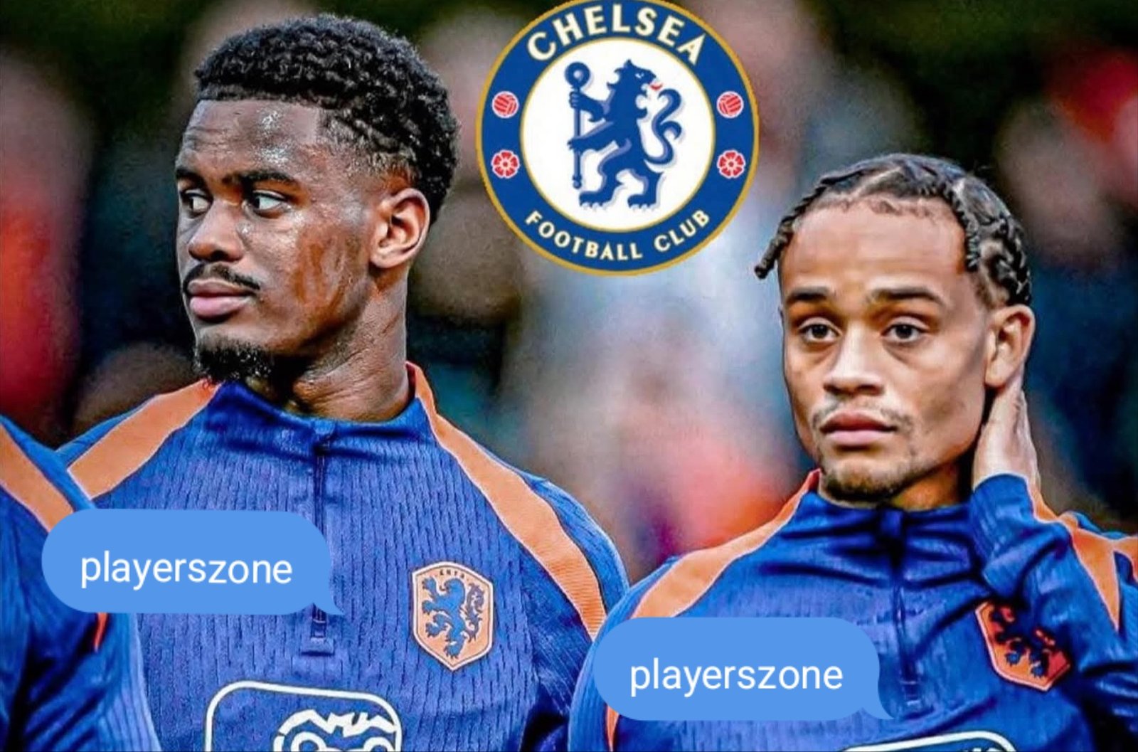 Chelsea Project is working hard