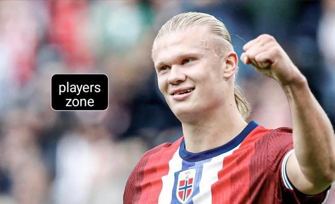 Erling Haaland's character is perfect.